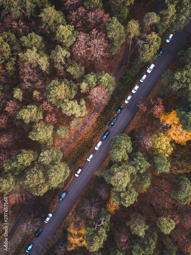 Aerial top down view of autumn forest with green and yellow trees. Mixed deciduous and coniferous forest. Beautiful fall scenery Vingis park, Vilnius city, Lithuania