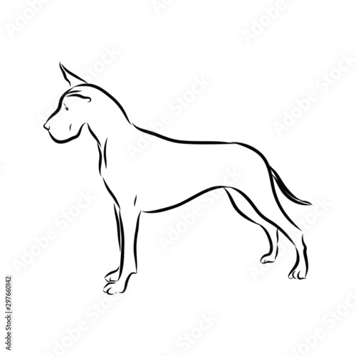 silhouette of a dog  danish dog sketch 