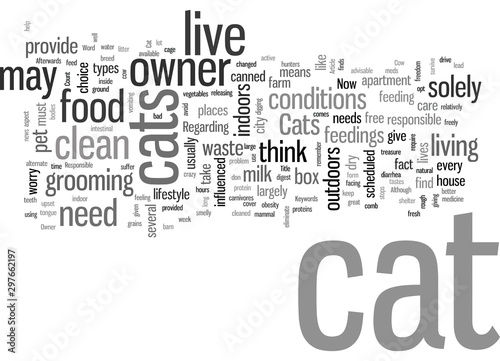 How To Be A Responsible Cat Owner