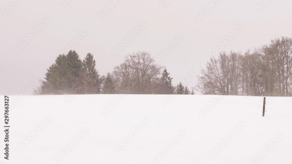 Snow Covered Landscape and Trees in Background on Cloudy Winter Day