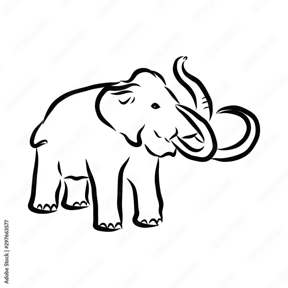 vector illustration of an mammoth, sketch vector illustration of an mammoth, sketch