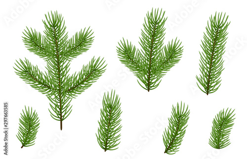 Christmas green fir tree branches isolated on white