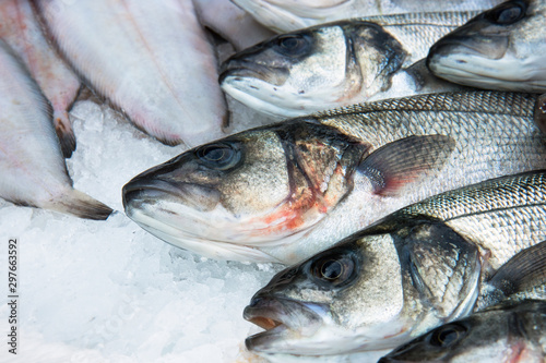 european seabass with copy space, fresh fish sold in a market