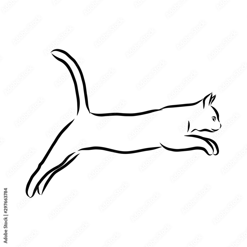 Download Better Cats Drawing Pictures Wealth How To Draw A Cute - Cat  Drawing for free. NiceP… | Silhouette di animali, Disegni di gatti,  Ritratti animali domestici