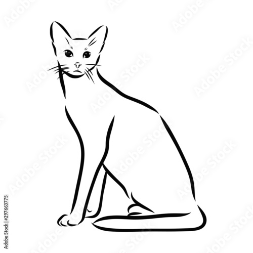 illustration of a cat