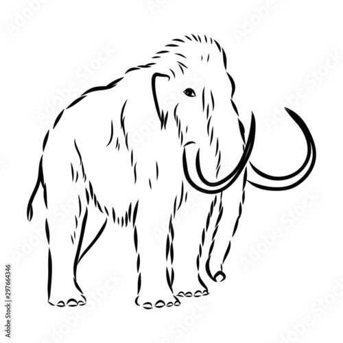 vector illustration of an elephant  mammoth sketch 
