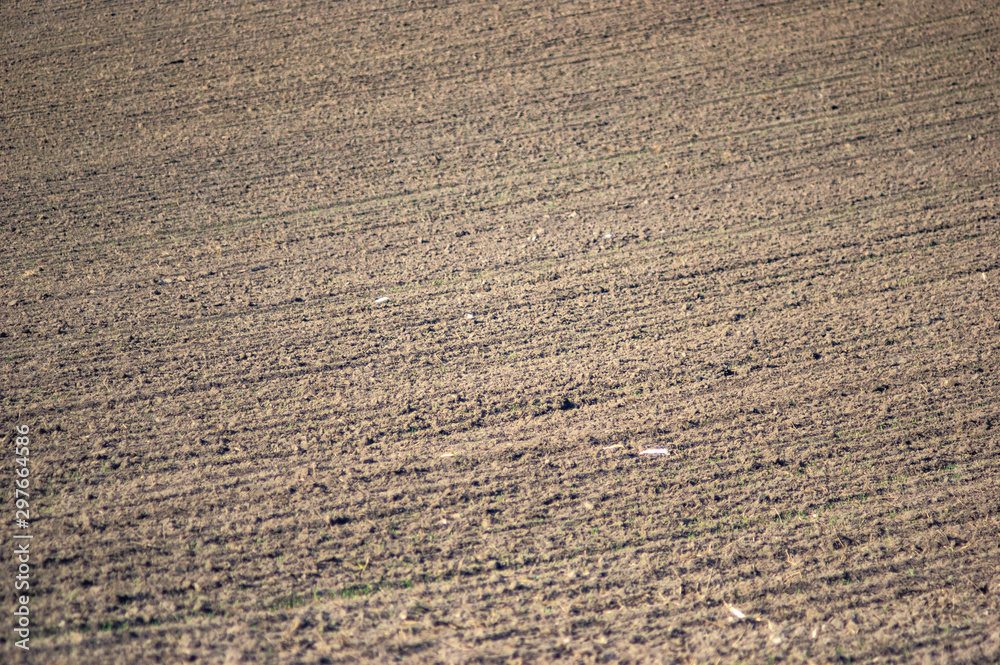 Plowed land on a field of black soil Plowed land on a field of black soil