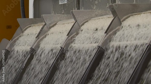 Selection, Cleaning and Storage of Rice Grains for Future Harvest. Seed Plant
