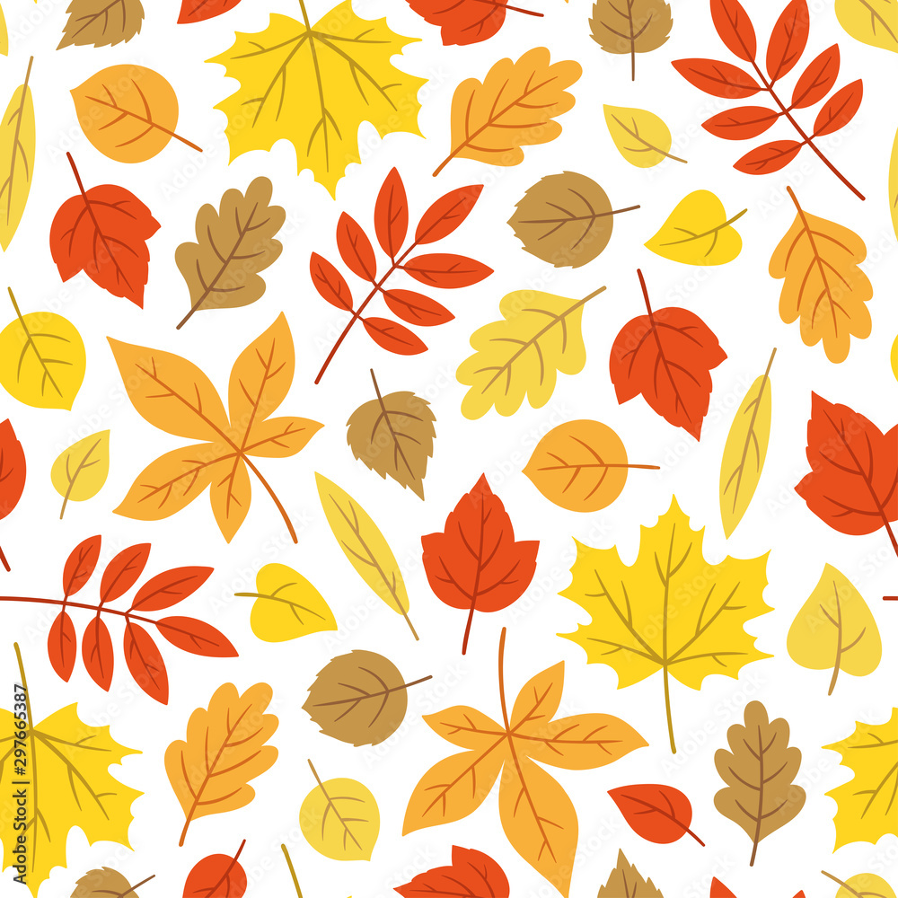 Obraz premium Autumn leaf pattern on white background