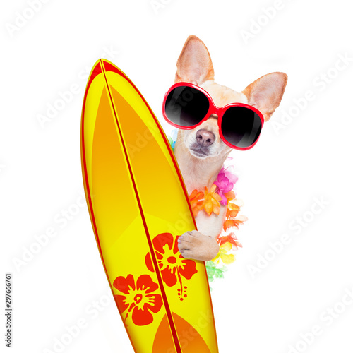 summer paradise vacation surfer dog © Javier brosch