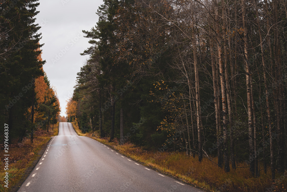 Autumn road with tress aside of the road. Sweden