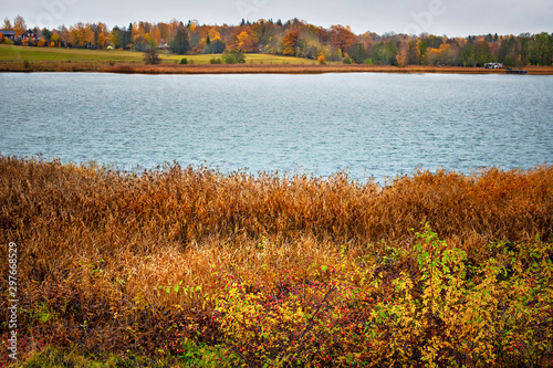 Autumn landscape during a w...