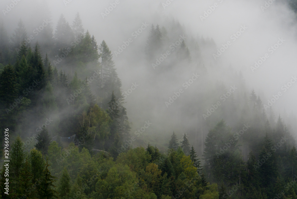 Nebelschwaden in den Alpen