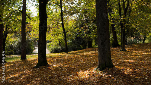 laubwiese park