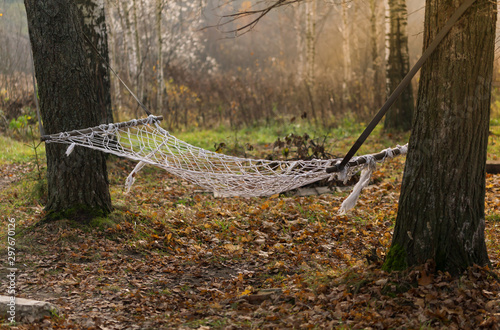 Hammock among autumn trees in country side. photo