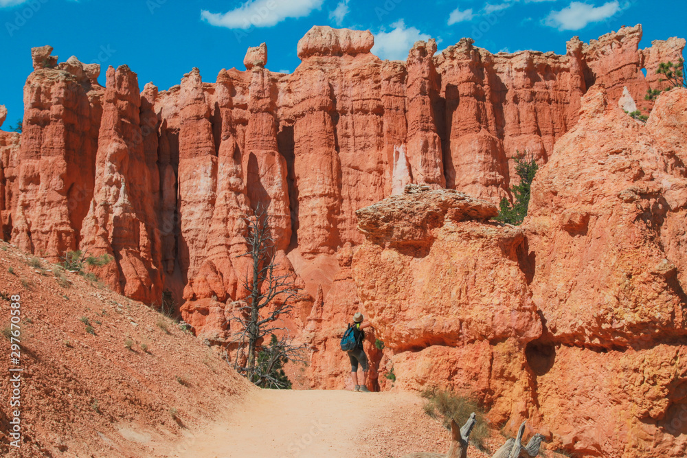 Fototapeta premium Hiker woman in Bryce Canyon hiking looking and enjoying view during her hike wearing hikers backpack. Bryce Canyon National Park landscape, Utah, United States. Sunny Day, clear skies, hot summer.