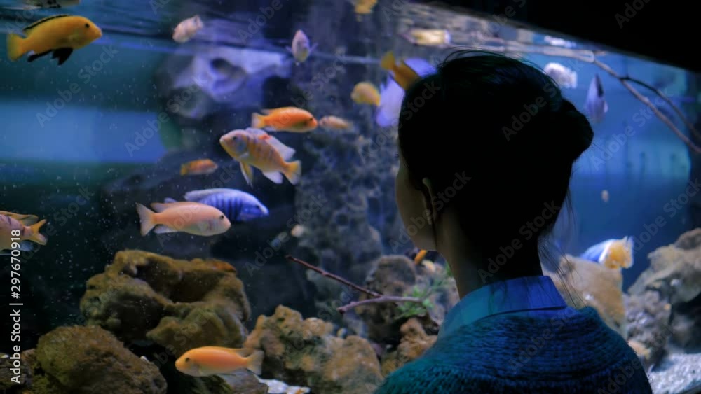 Underwater life, tourism, education and entertainment concept. Back view of woman silhouette looking at fish in large public aquarium tank at oceanarium with low light illumination