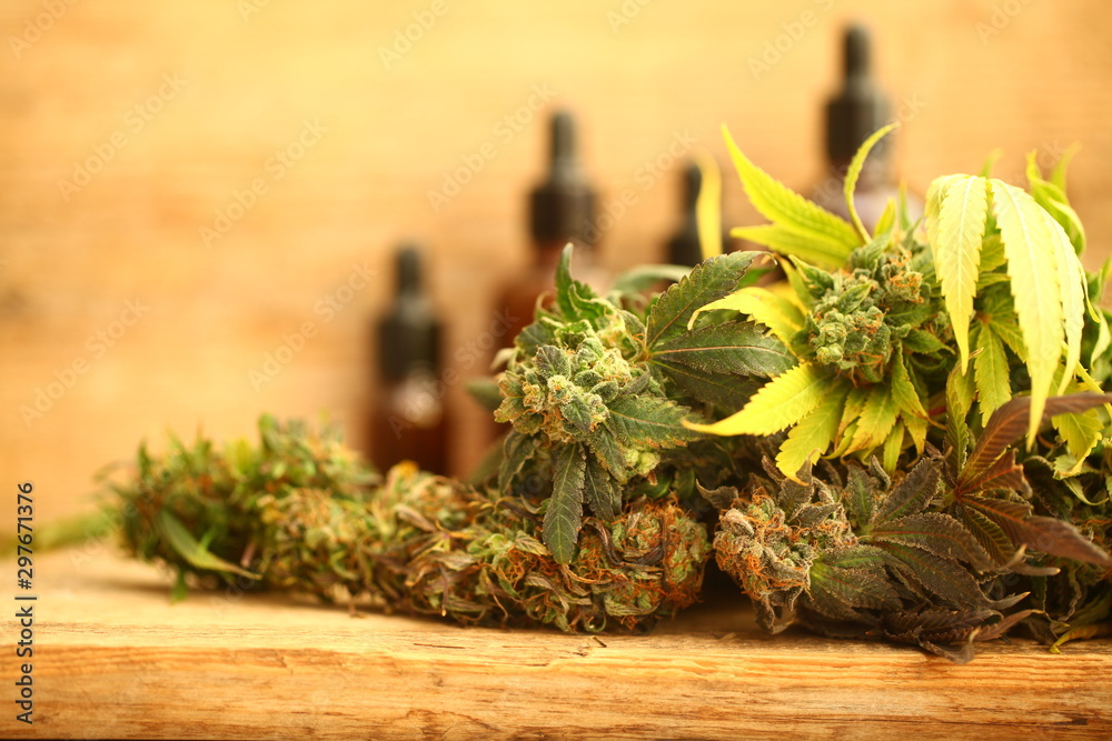 Medical marijuana cannabis cbd oil Medical marijuana cannabis cbd oil