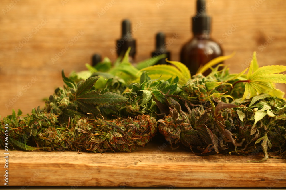 Medical marijuana cannabis cbd oil Medical marijuana cannabis cbd oil