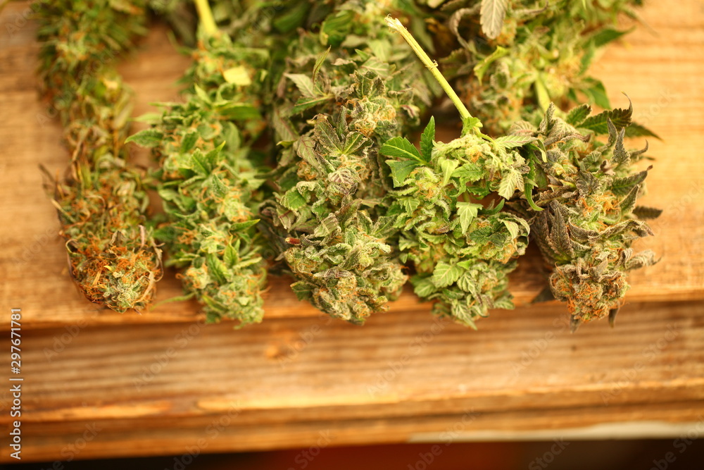 Medical marijuana cannabis cbd oil Medical marijuana cannabis cbd oil