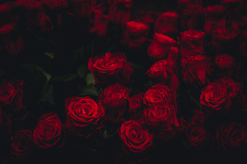 Dark Roses