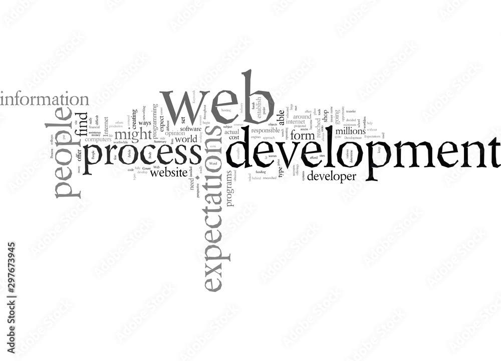 Expectations Of The Web Development Process Expectations Of The Web Development Process