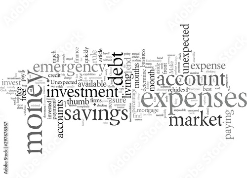 Emergency Savings Accounts