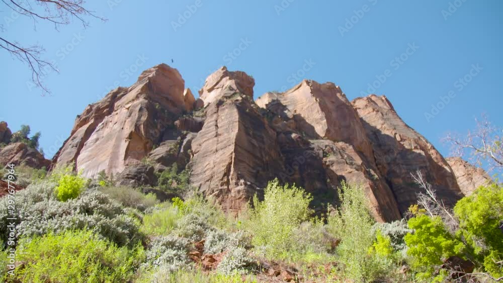 Zion Cliffs Zion Cliffs