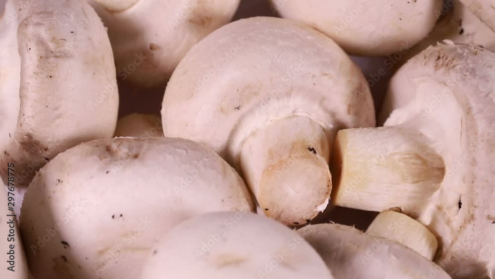 fresh white champignons spin slowly. macro background fresh white champignons spin slowly. macro background