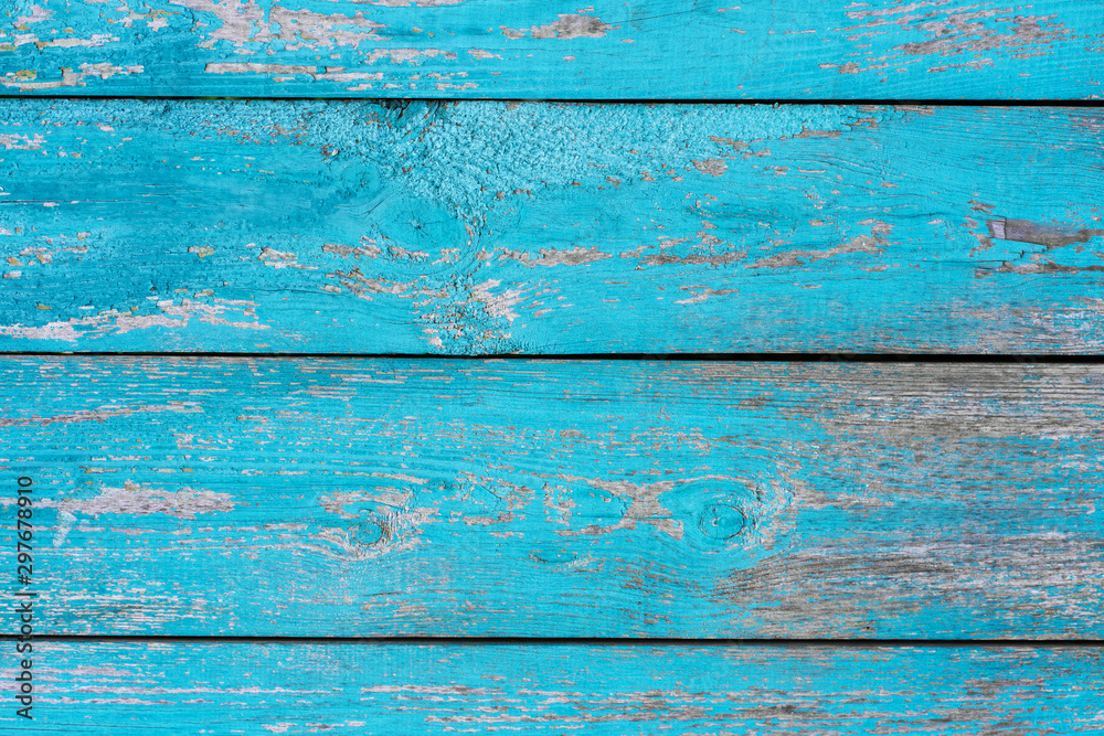 old wooden fence blue paint peeling board texture. Background