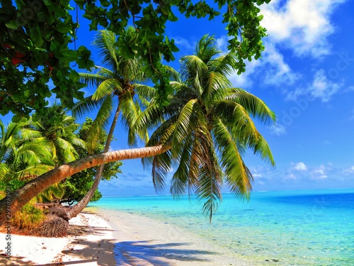 exploring magical island of tahiti