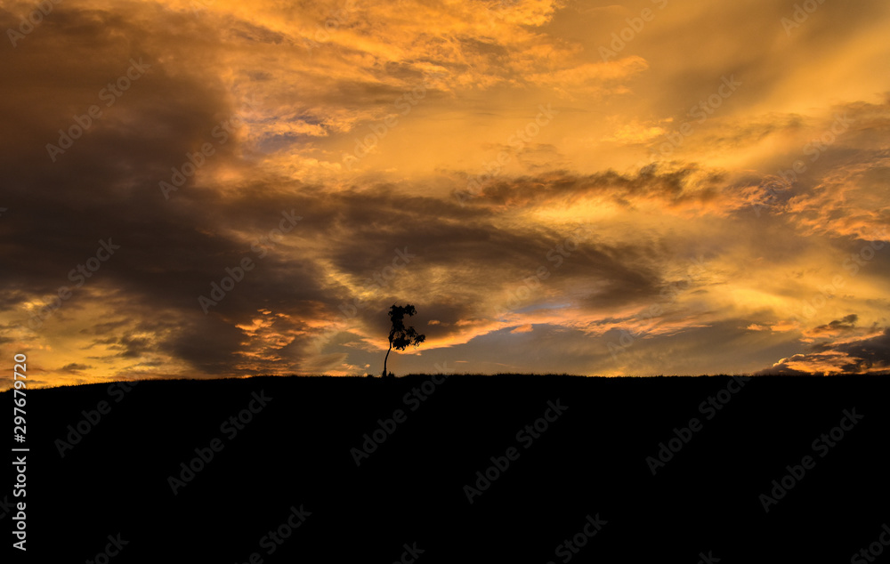 La Soledad del Atardecer La Soledad del Atardecer