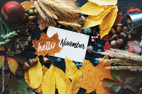 Hello november. frame of autumn decor Poster card  filter  grunge image	 photo