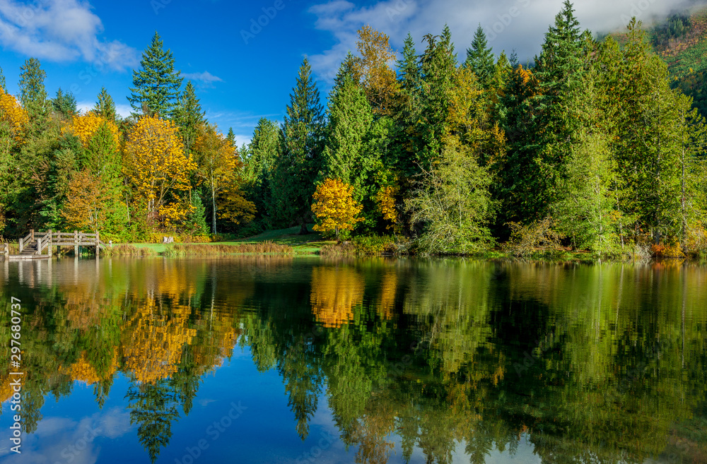 forest reflected in calm lake forest reflected in calm lake