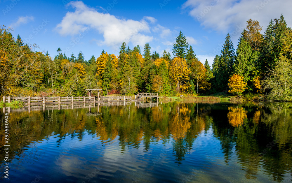 Fototapeta premium Fall reflection forest