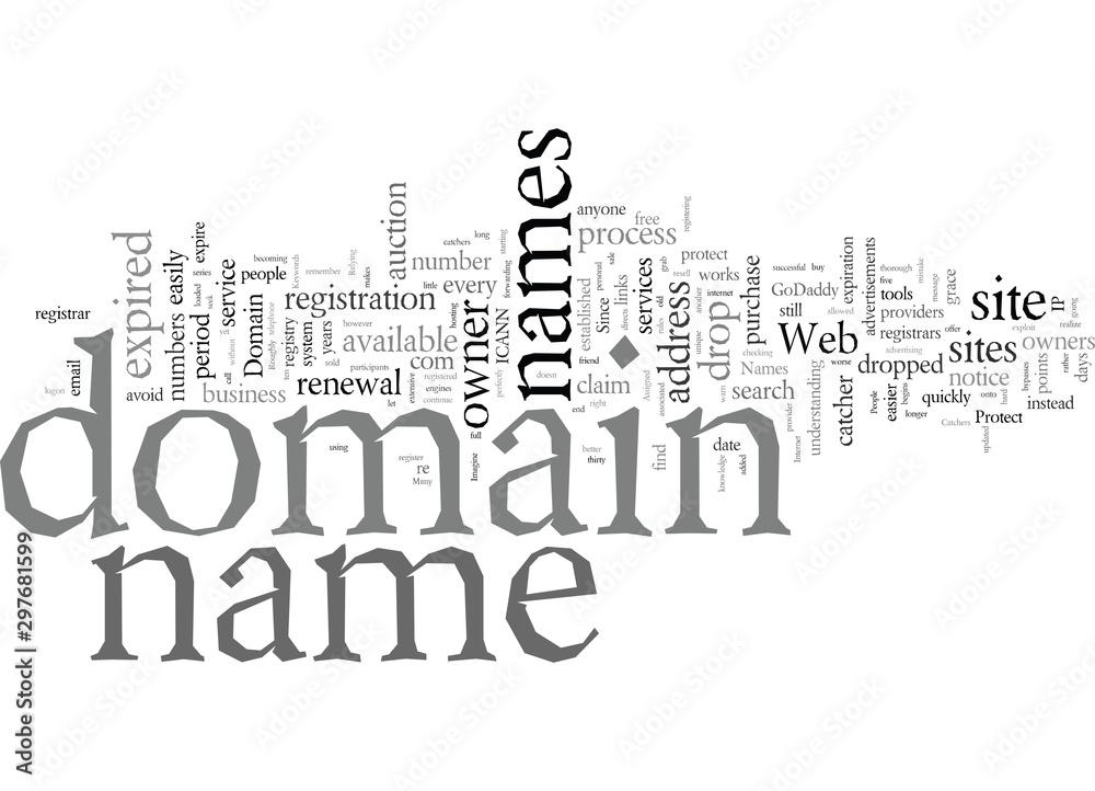 Domain Names Protect Your s From Drop Catchers