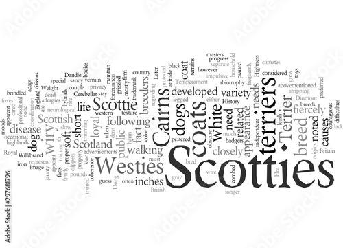 dog scottish terrier