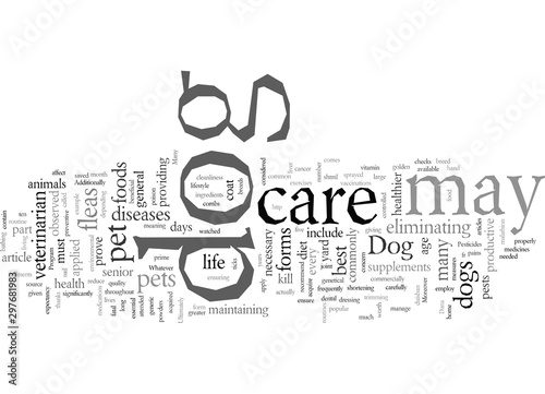 Dog Care Fundamentals