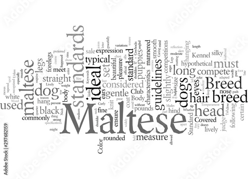 Does Your Maltese Stand Up to the Supposed Standard