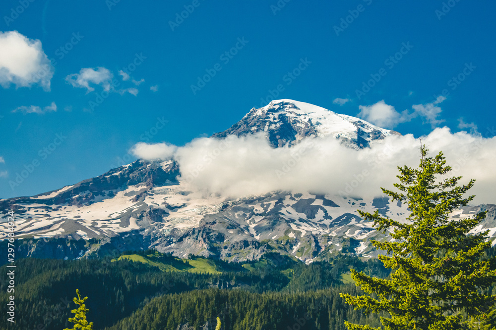 Mount Rainier National Forest