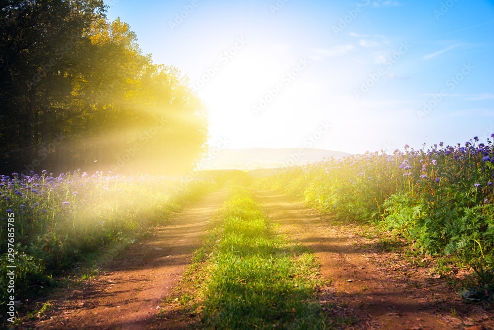 Beautiful heavenly landscape with the sun in the clouds . Paradise heaven .light about the sky . road to the sun . Go to the target