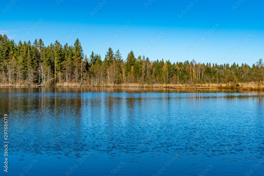 Bewaldetes Ufer an einem See
