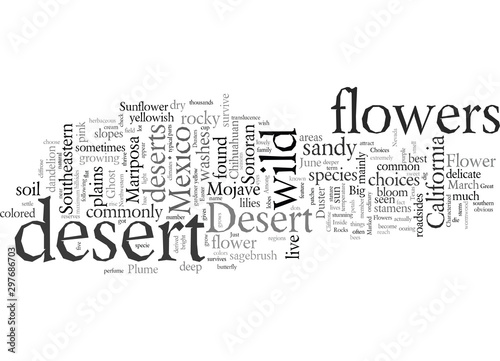 Desert Wild Flower What are Your Choices