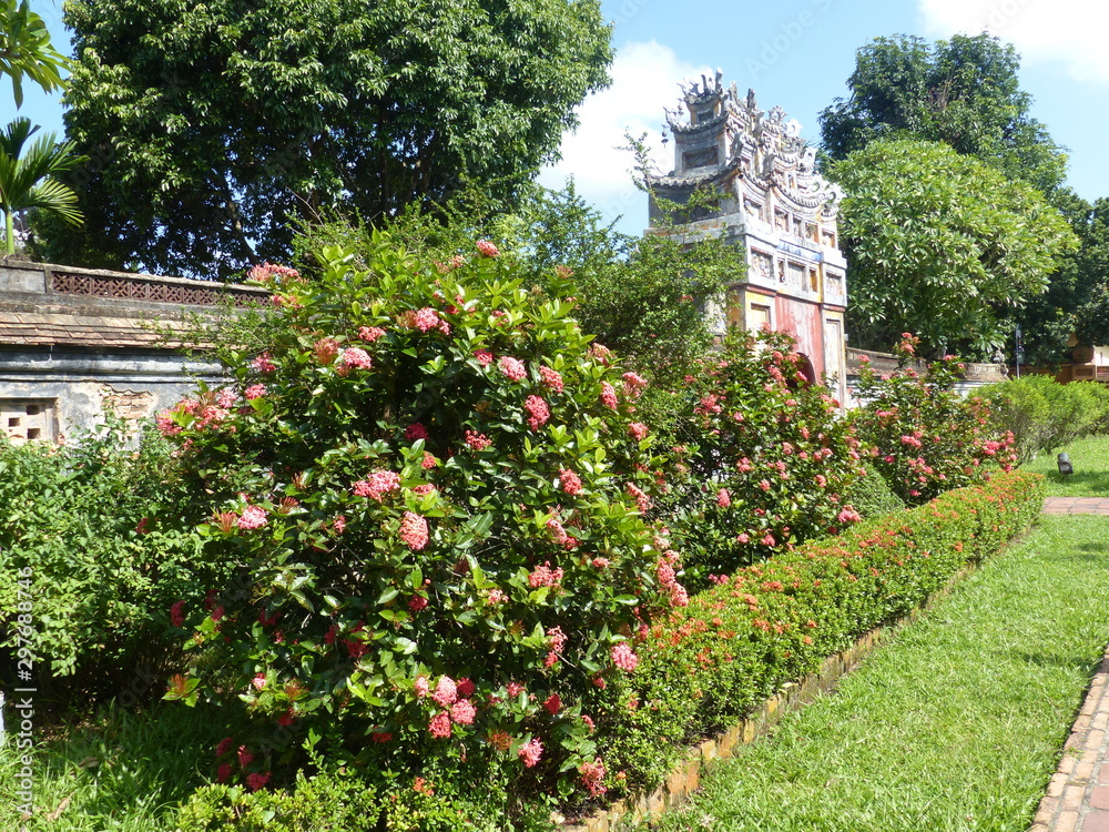 Vietnam Vietnam