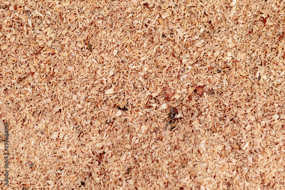 Sawdust or wood dust texture background. Wood sawdust background closeup.  Sawdust floor texture. Top view. Saw dust texture, close-up background of  brown sawdust. Stock Photo | Adobe Stock