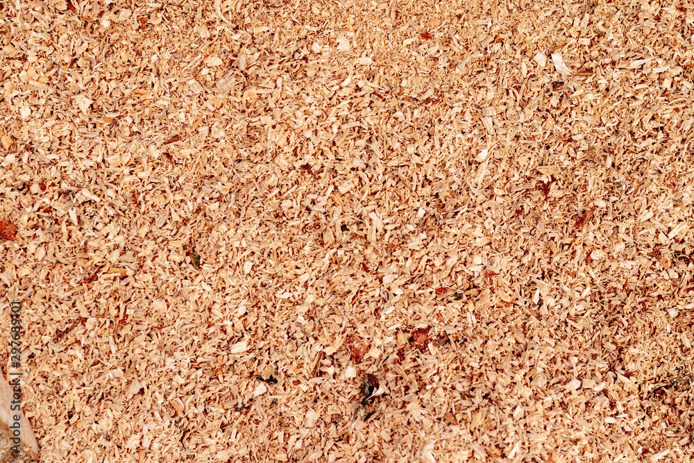 Sawdust or wood dust texture background. Wood sawdust background closeup. Sawdust floor texture. Top view. Saw dust texture, close-up background of brown sawdust. Sawdust or wood dust texture background. Wood sawdust background closeup. Sawdust floor texture. Top view. Saw dust texture, close-up background of brown sawdust.
