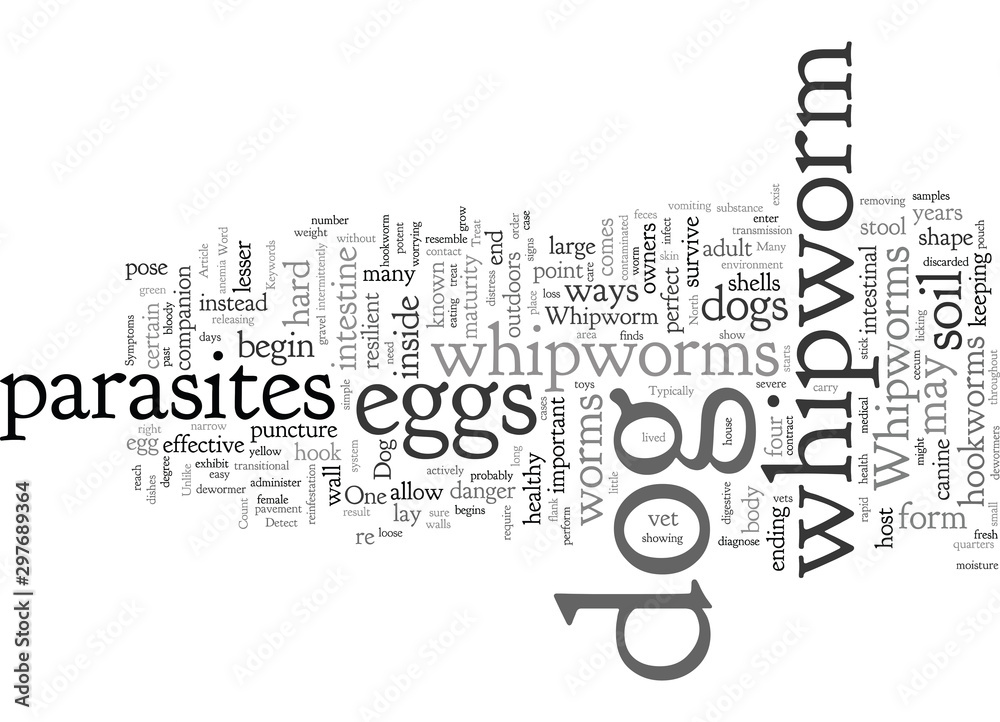 Could Your Dog Have Whipworm How To Detect And Treat Whipworm In Your Dog