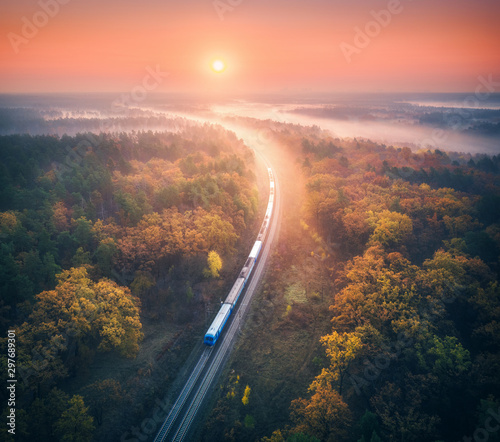 Train in beautiful forest i...