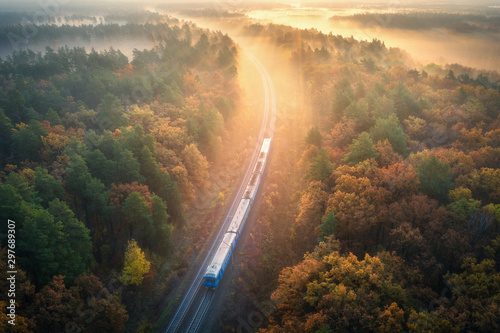 Train in beautiful forest i...