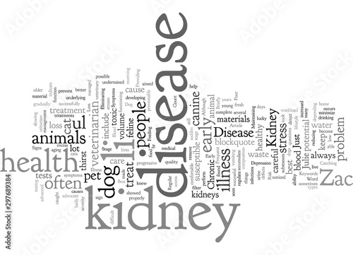 Could Your Dog or Cat Be at Risk for Kidney Disease